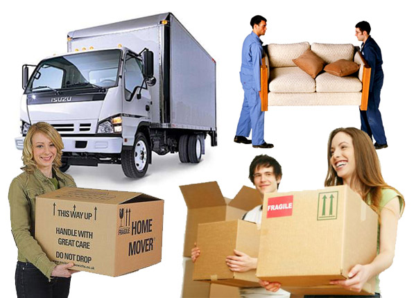 Moving StressFree How Local Moving Companies Fort Collins Co Make Relocation Simple