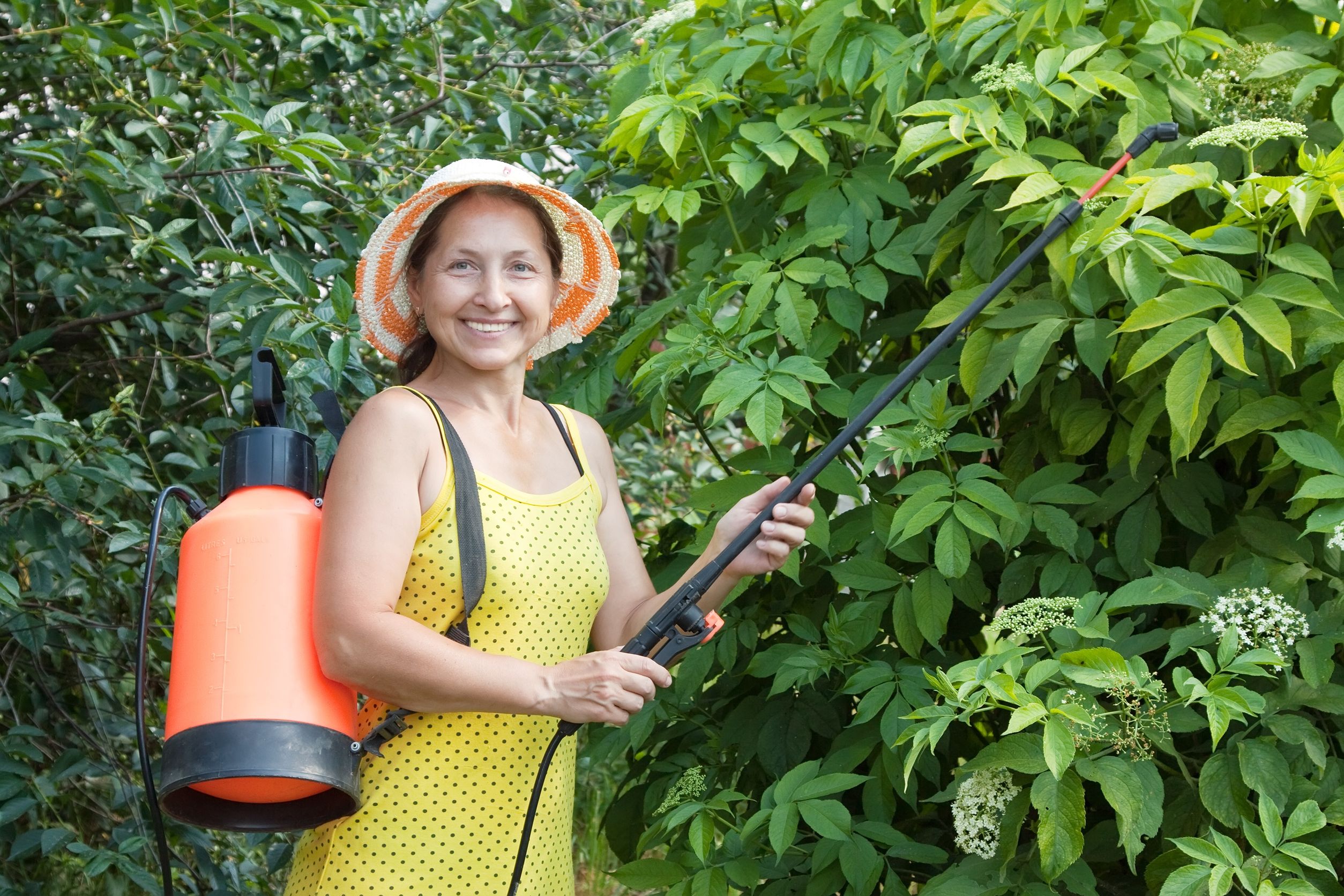 Expert Tips on Mosquito Control in Germantown, TN, Locals Rely on for Lasting Relief