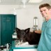 Getting To A Veterinarian Clinic In Roswell To Help Your Pet Out