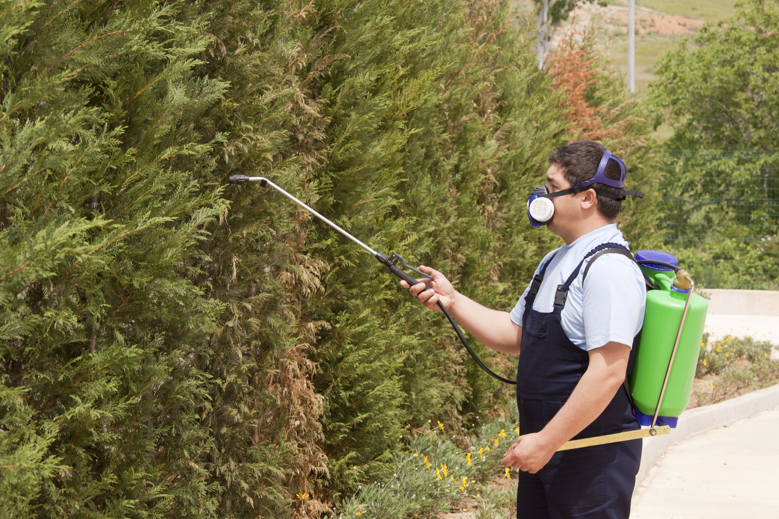 Why Families Choose Mosquito Control in Bartlett, TN, for Healthier Living Environments
