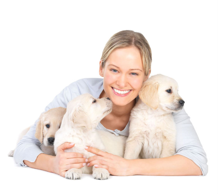 Reasons to Consider Dog Daycare in Mt. Vernon