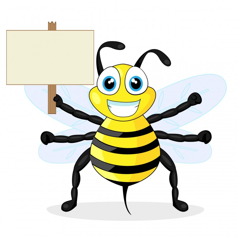 What You Should Know About Ridding Your Property of Ticks