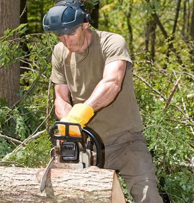 Prevent Lawn Damage with Expert Tree Stump Removal Townsend, TN Services
