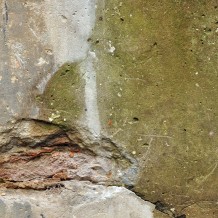 A Mold Removal Company In Palm Desert Can Safely Clean Your Home Or Business