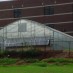 3 Tips for Choosing School Greenhouses