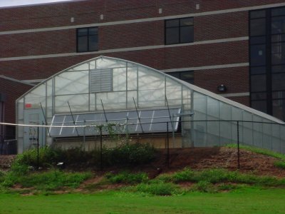 3 Tips for Choosing School Greenhouses