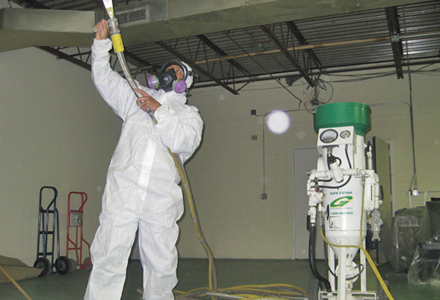 FAQs About Mold Remediation Service In Troy