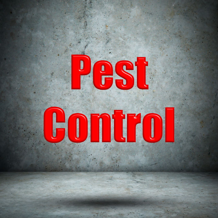 All About Stinkbug Control in Jackson NJ