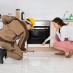 Top Tips for Preventing Pests in the Kitchen