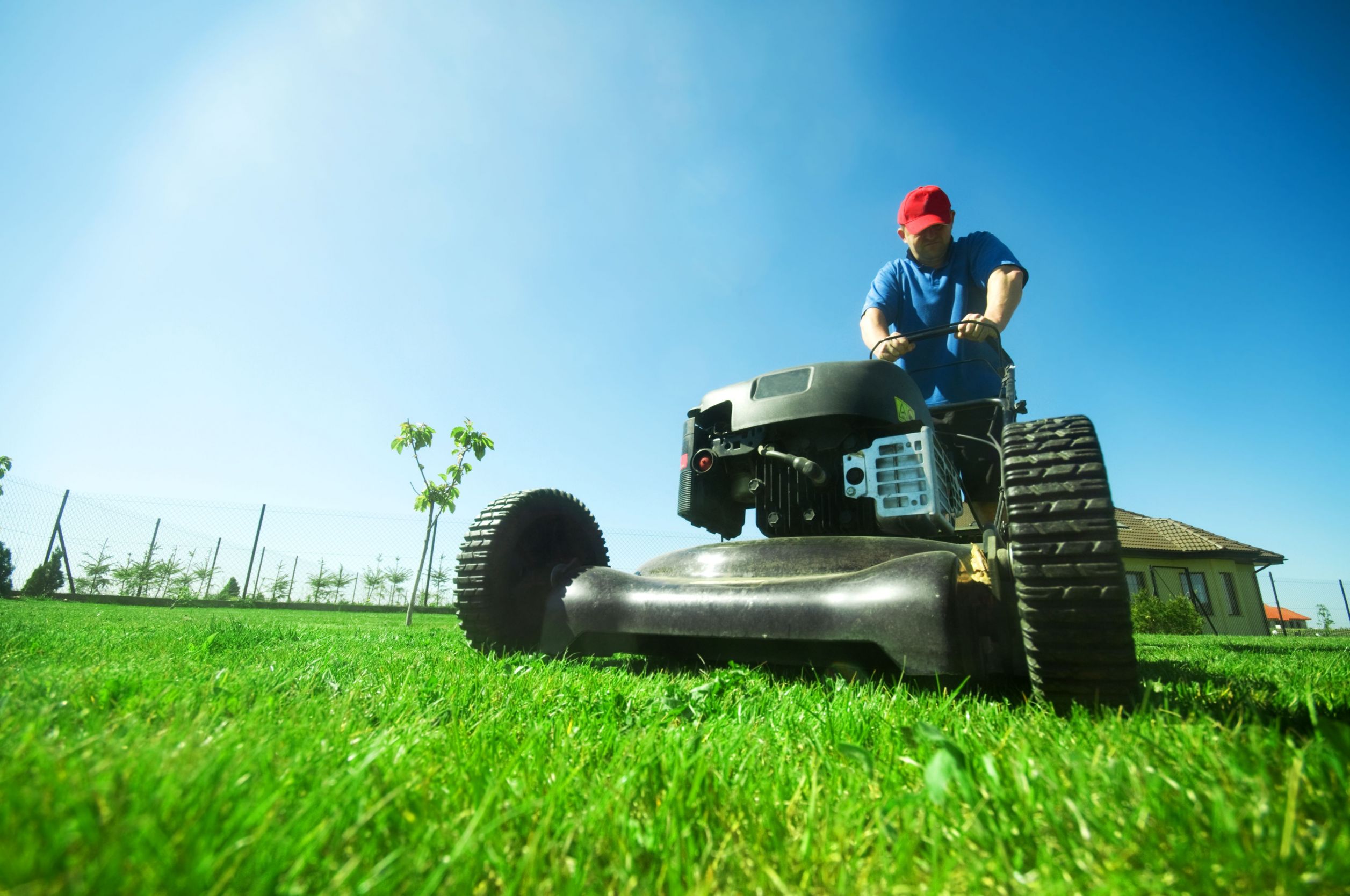 What To Expect When Hiring Lawn Installers In Ashburn, VA For Sod Placement