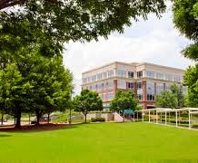 Commercial Landscape Management And Business Curb Appeal