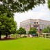 Commercial Landscape Management And Business Curb Appeal