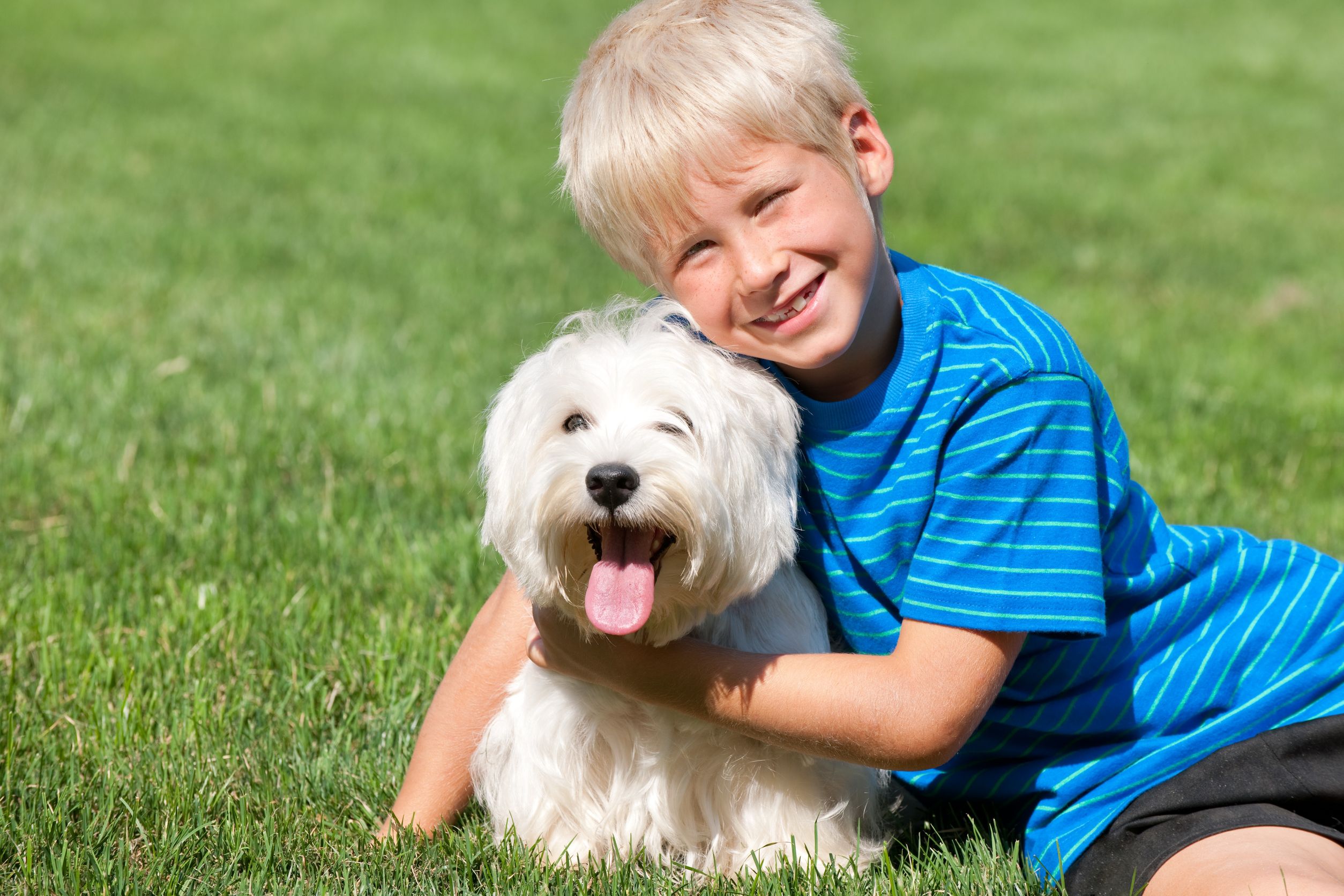 3 Benefits Of Obedience Training For Dogs In Chicago