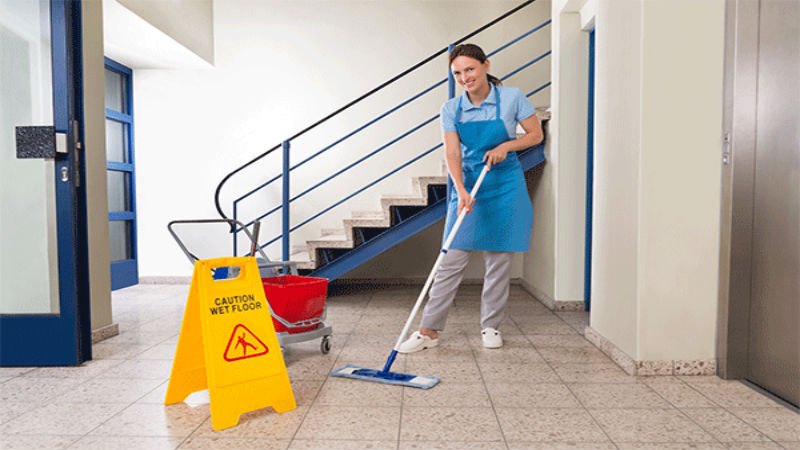 Get Newer Looking Floors With Carpet Cleaners in Bellingham, WA