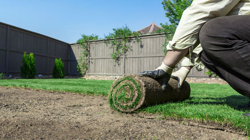 Creating a Relaxing Outdoor Oasis in Goodyear: The Role of Landscape Design
