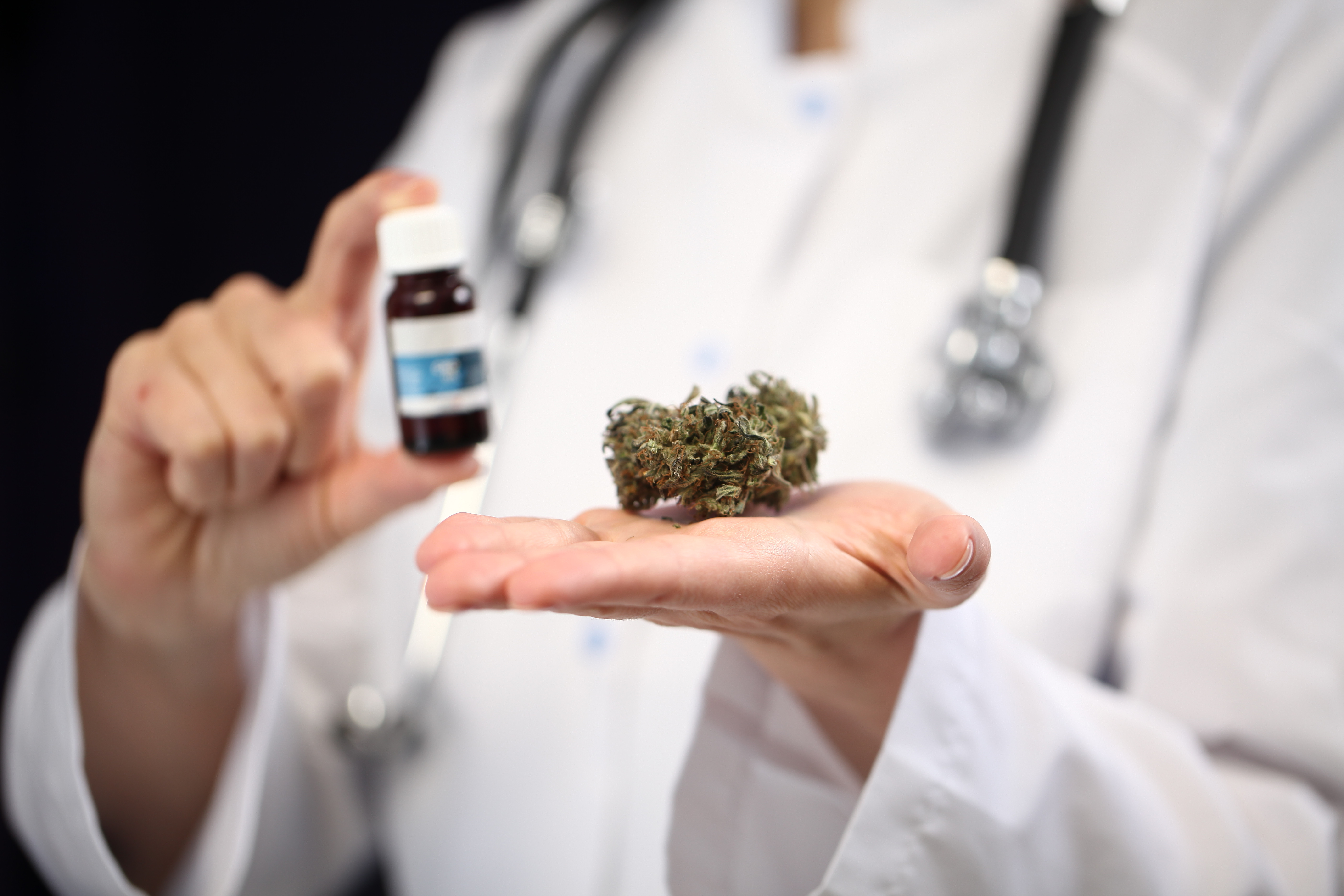 Healing Through Nature – Investigating the Role of a Medical Marijuana Dispensary in Biloxi MS