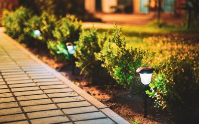 Transform Your Outdoor Space with Expert Hardscaping Services in Brooklyn NY