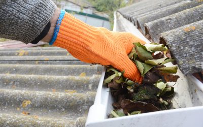Why Hiring a Gutter Cleaning Company in Germantown, TN, Prevents Costly Water Damage