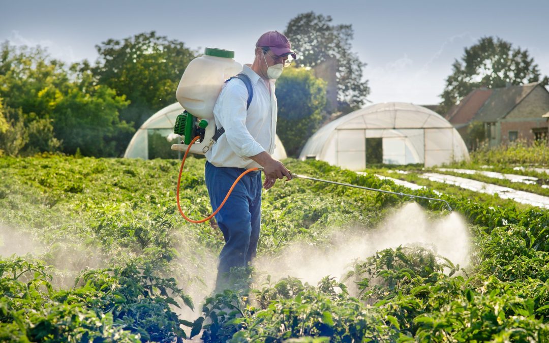 Achieving Crystal Clear Water with Proven Aquatic Weed Control Methods