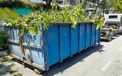 Construction Dumpster Rentals in Glendale, AZ: What Contractors Need to Know