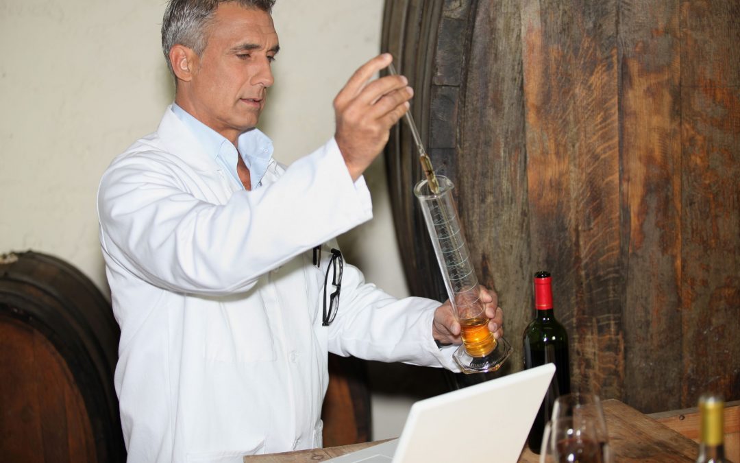 Unforgettable tasting journeys await with wine in San Diego, CA for local enthusiasts