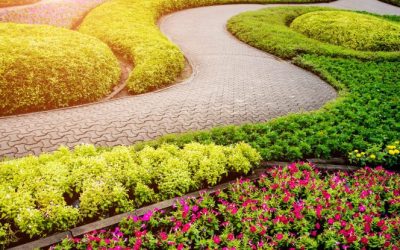 Transform Nighttime Ambiance With Custom Landscape Lighting Rochester, MN Homeowners Trust