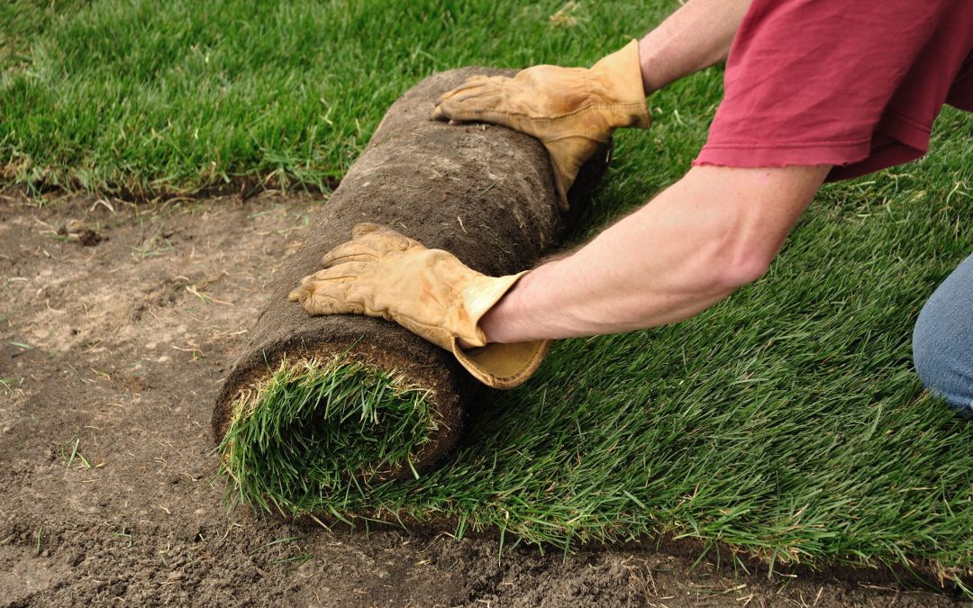 Transform Your Outdoor Spaces with Expert Landscapers In Hillsborough, NJ, for a Fresh Look