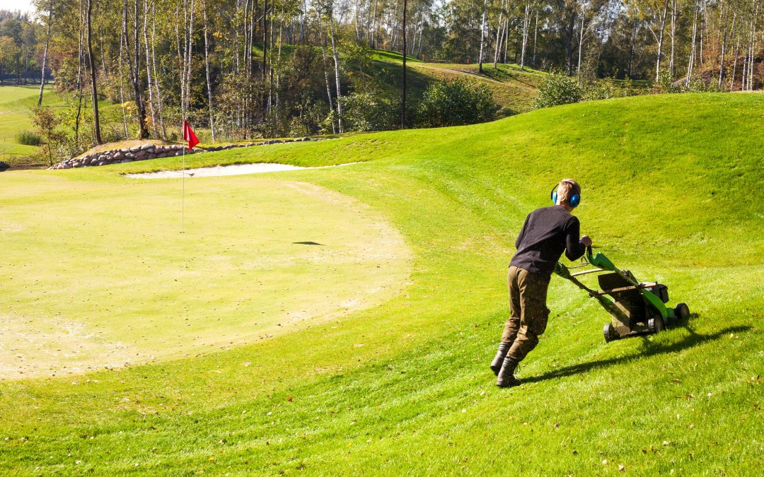 Enjoy a Lush Yard With Expert Lawn Maintenance Services Charlotte NC Residents Trust