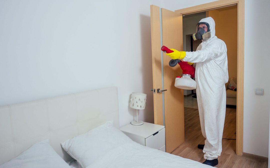 Find Peace of Mind at Home with Pest Control Services in Elgin, IL Residents Trust