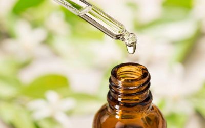 Explore how a cannabis dispensary in Longmeadow MA, can simplify your wellness journey today